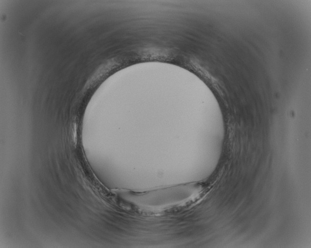 X0000083620067200703121639