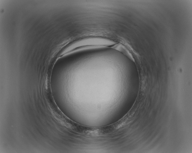 X0000083620068200703121639