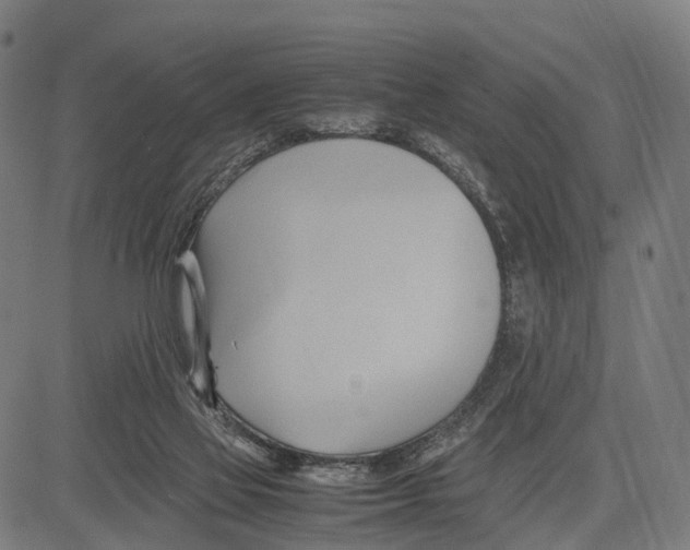 X0000083620069200703121639