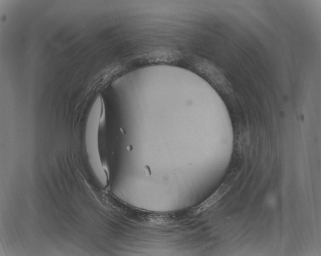 X0000083620070200703121639