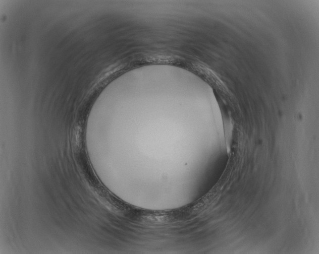 X0000083620071200703121639