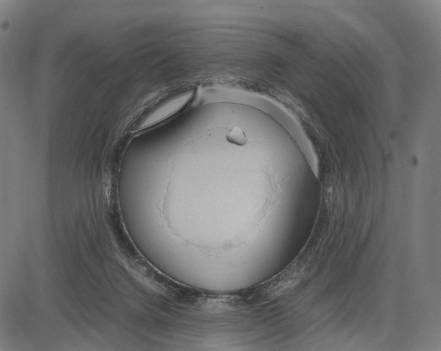 X0000083620072200703121639