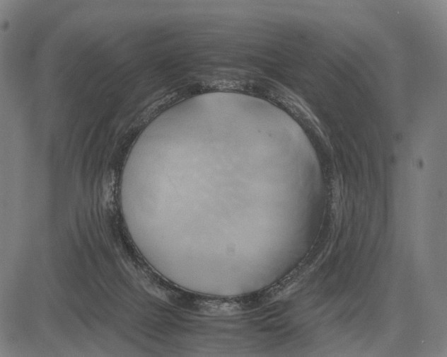 X0000083620073200703121639