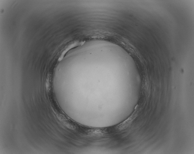 X0000083620074200703121639