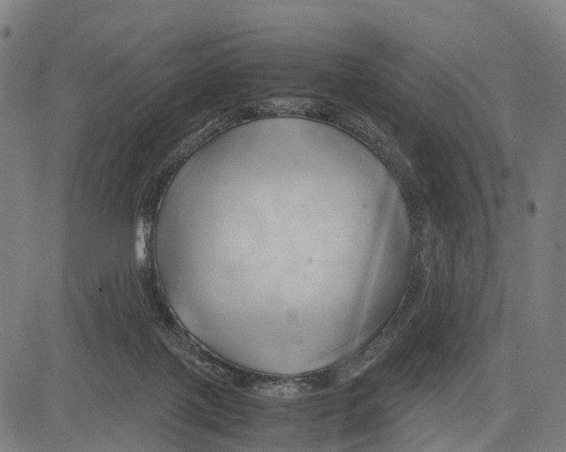 X0000083620075200703121639