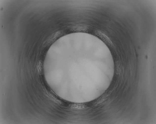 X0000083620077200703121639