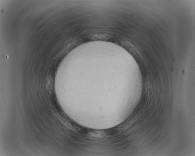 X0000083620079200703121639