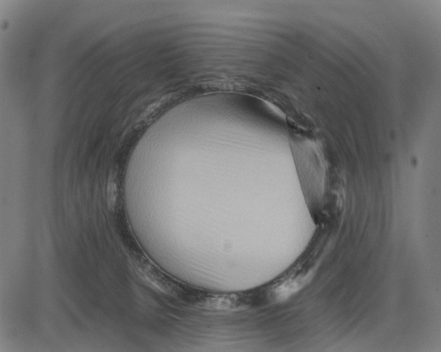 X0000083620080200703121639