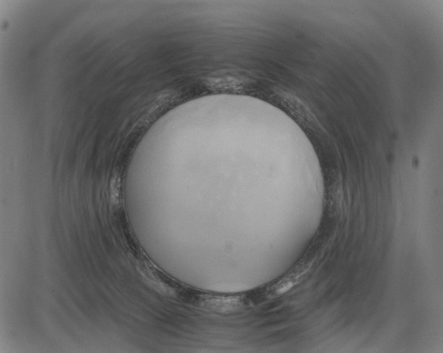 X0000083620081200703121639