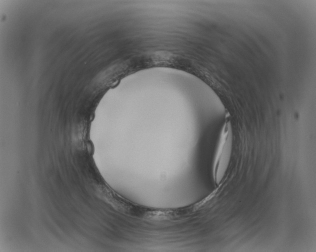 X0000083620082200703121639