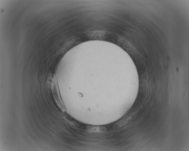 X0000083620083200703121639