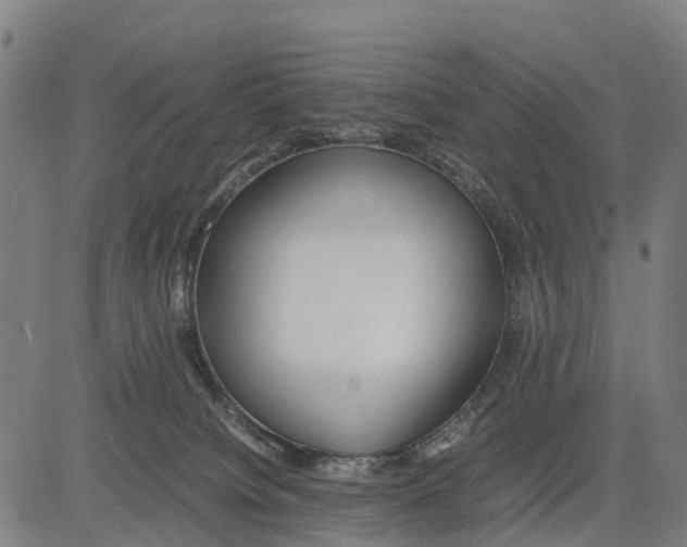 X0000083620084200703121639