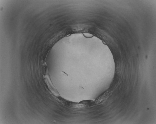 X0000083620085200703121639