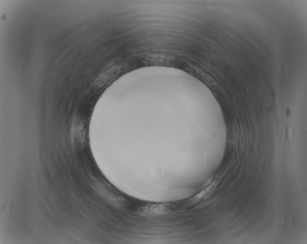 X0000083620086200703121639