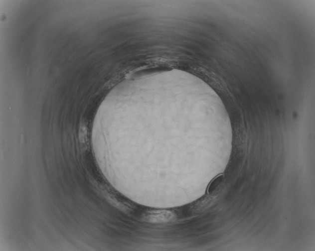 X0000083620087200703121639