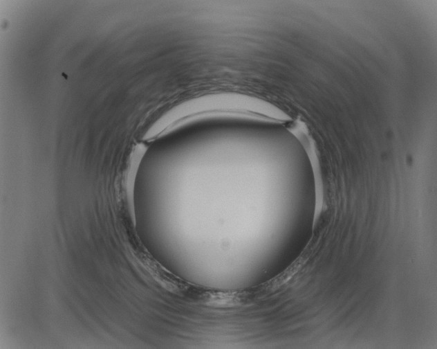 X0000083620088200703121639