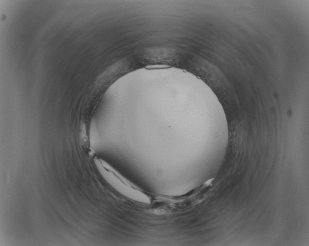 X0000083620089200703121639