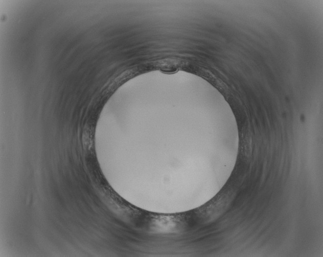 X0000083620091200703121639