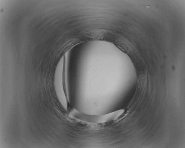 X0000083620092200703121639