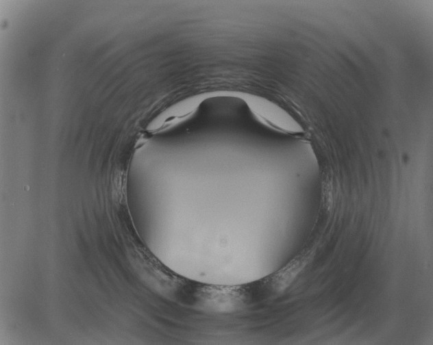 X0000083620093200703121639