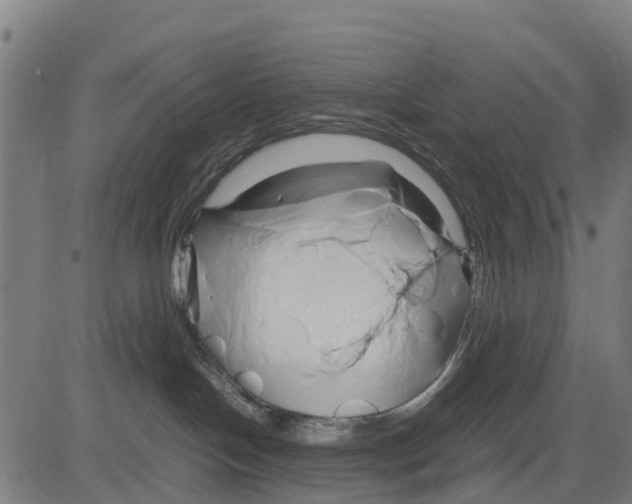 X0000083620094200703121639