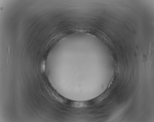 X0000083620095200703121639