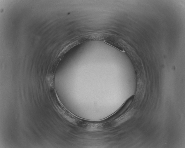 X0000083620096200703121639