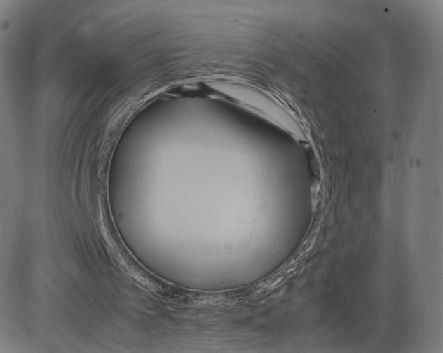 X0000083620097200703121639