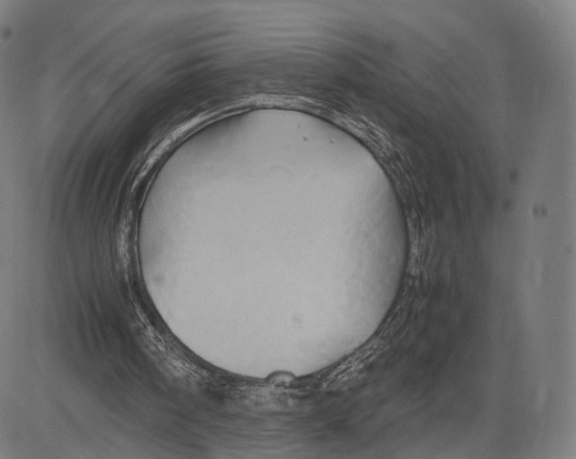 X0000083620098200703121639