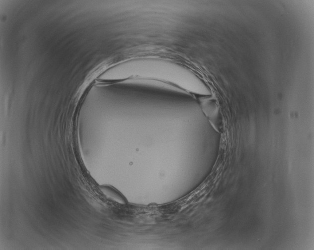 X0000083620099200703121639