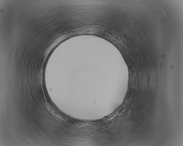 X0000083620100200703121639