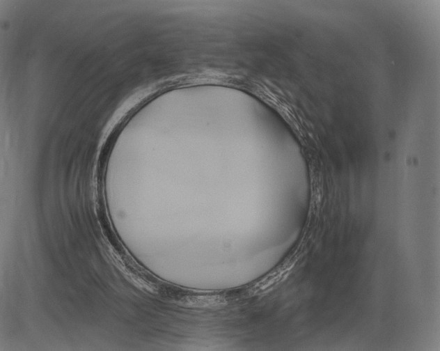 X0000083620102200703121638