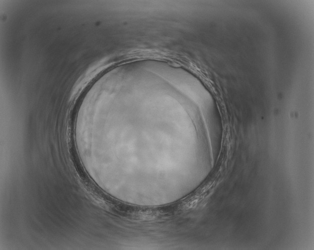 X0000083620103200703121638