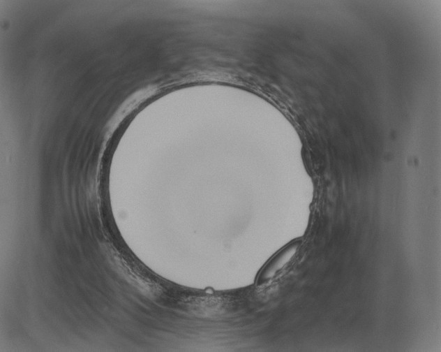 X0000083620104200703121638