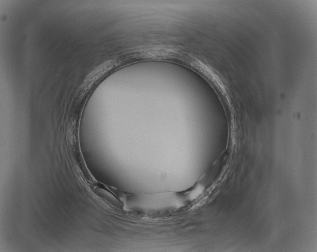 X0000083620105200703121638