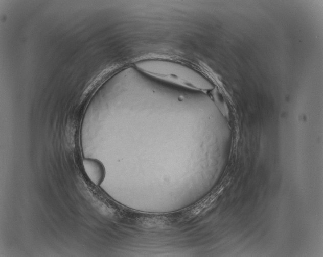 X0000083620106200703121638