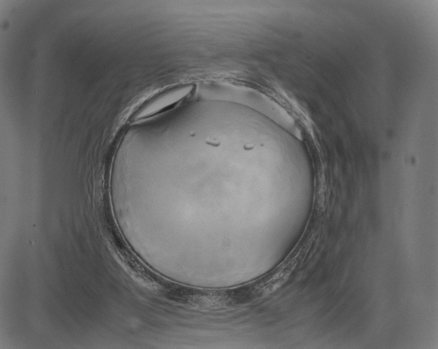 X0000083620107200703121638