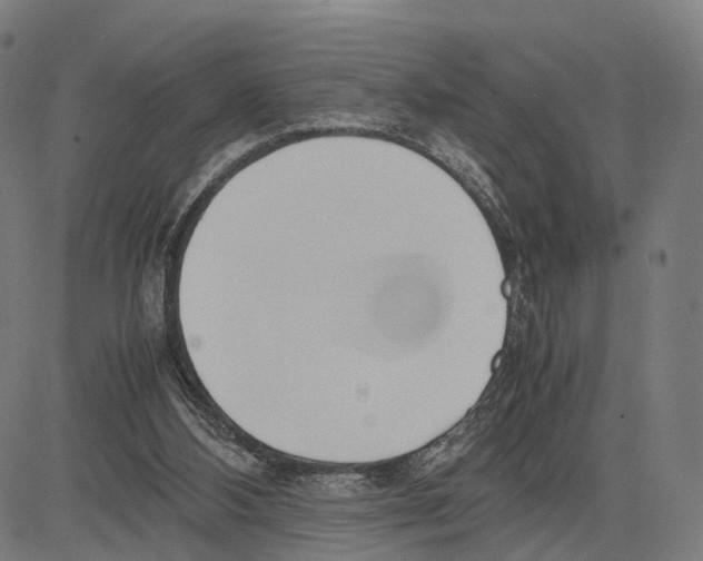 X0000083620108200703121638