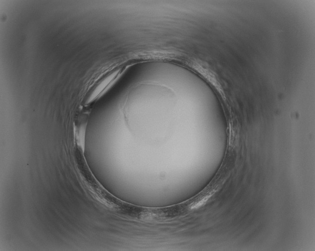 X0000083620109200703121638