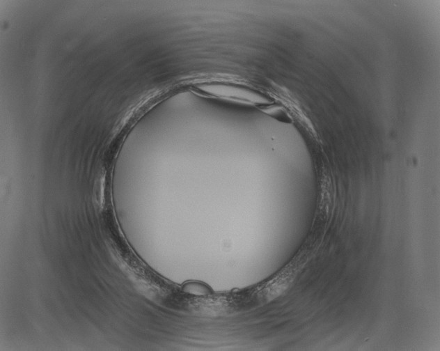 X0000083620110200703121638