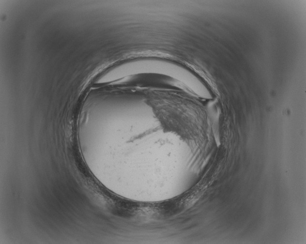 X0000083620111200703121638