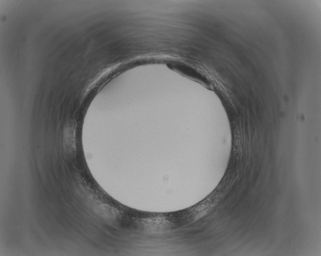 X0000083620112200703121638