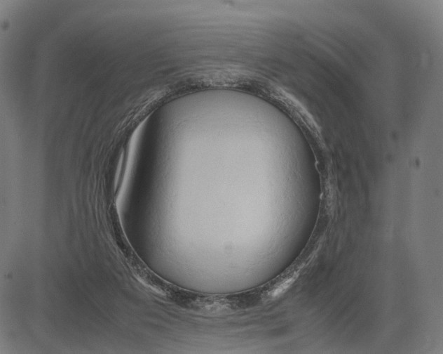 X0000083620113200703121638