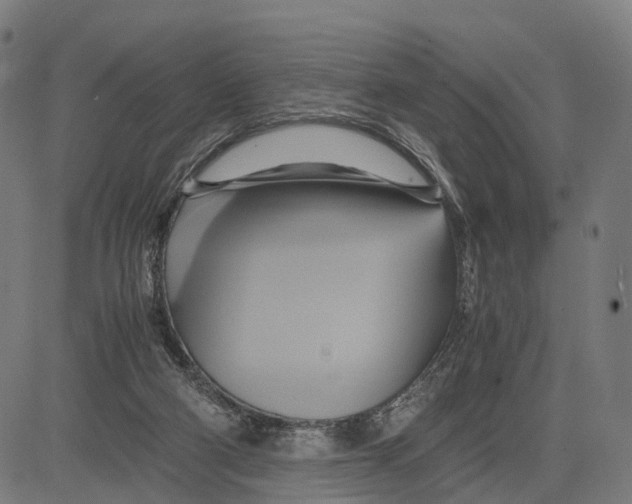 X0000083620114200703121638