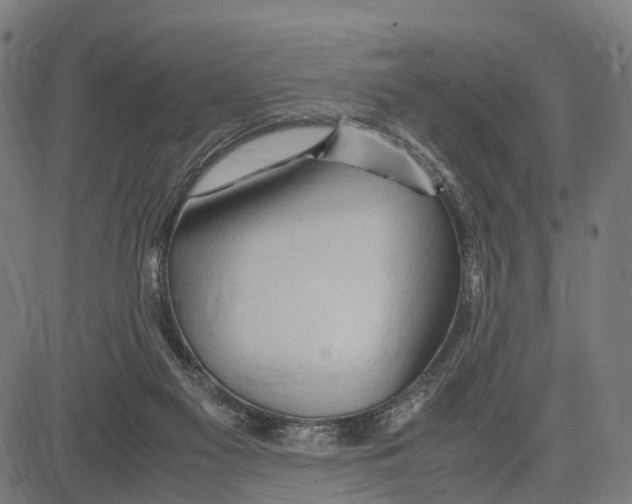 X0000083620117200703121638