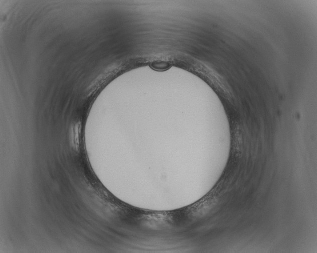 X0000083620118200703121638