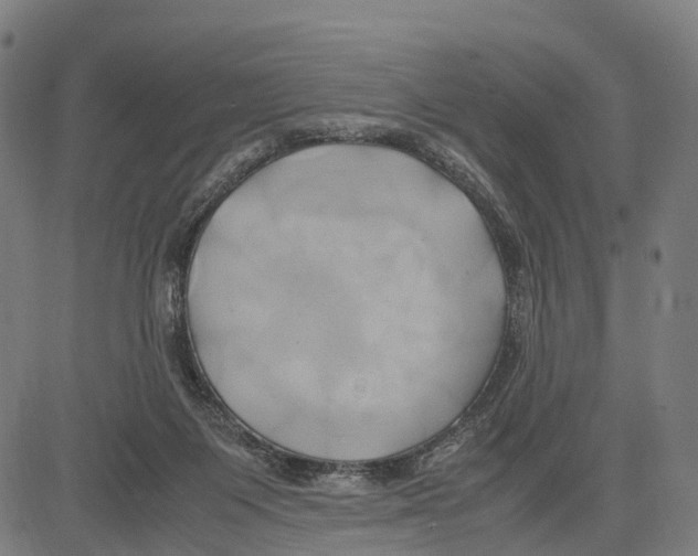 X0000083620119200703121638