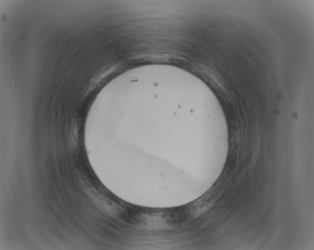 X0000083620120200703121638