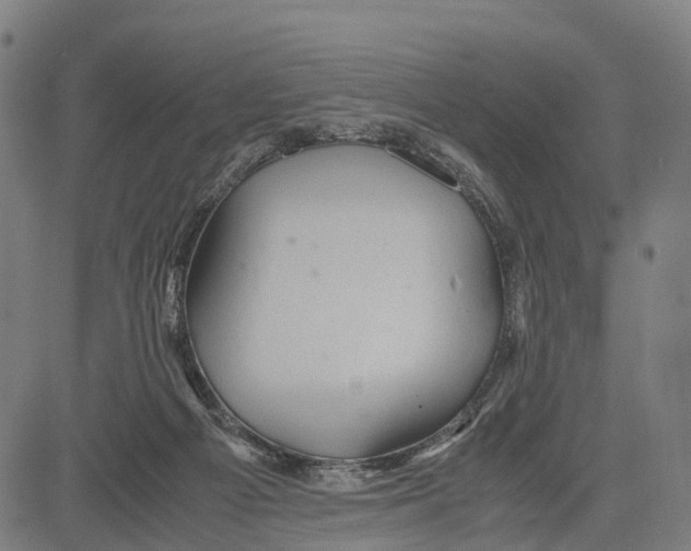 X0000083620121200703121638