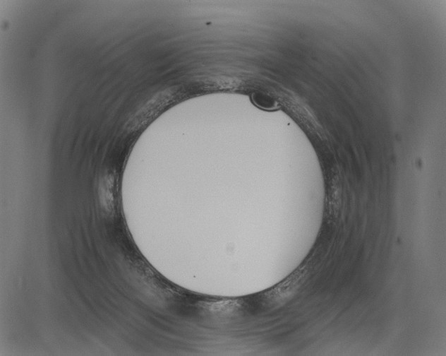 X0000083620122200703121638